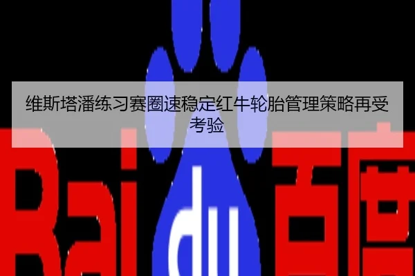 维斯塔潘练习赛圈速稳定红牛轮胎管理策略再受考验